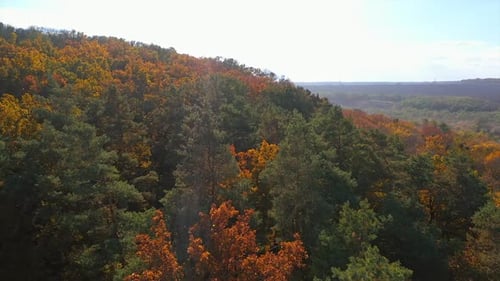 Autumn beautiful landscapes aerial view. Natural seasonal colorful scenery.