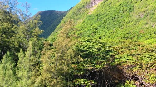 Aerial view of Hawaii island, Hawaii, United States