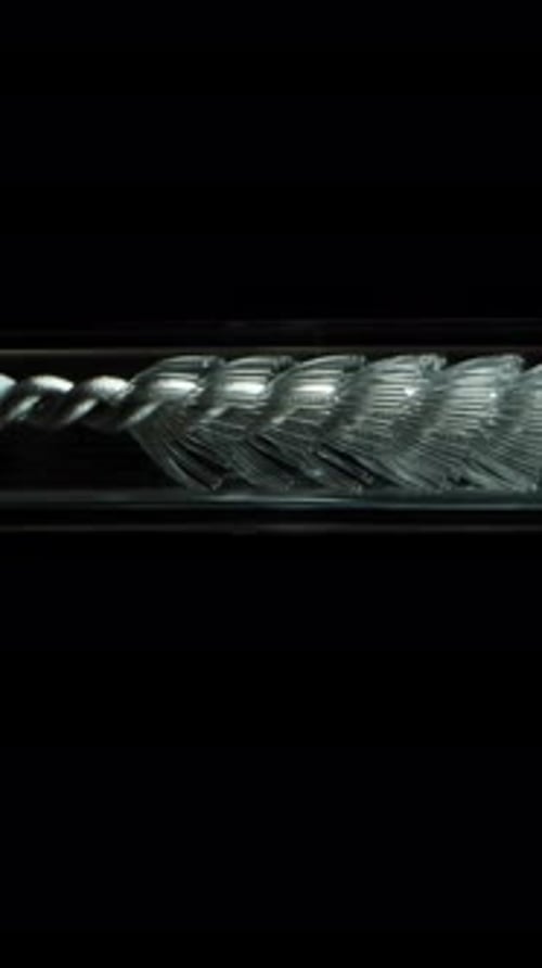 Vertical video. The brush emerges from the narrow glass tube and spreads its bristles. Macro slider