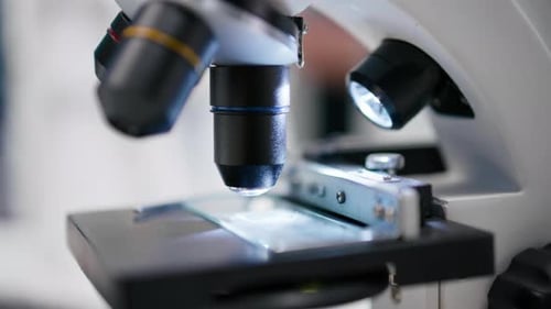 Microscope Close Up of Specimen Tray in Lab Studied By Expert
