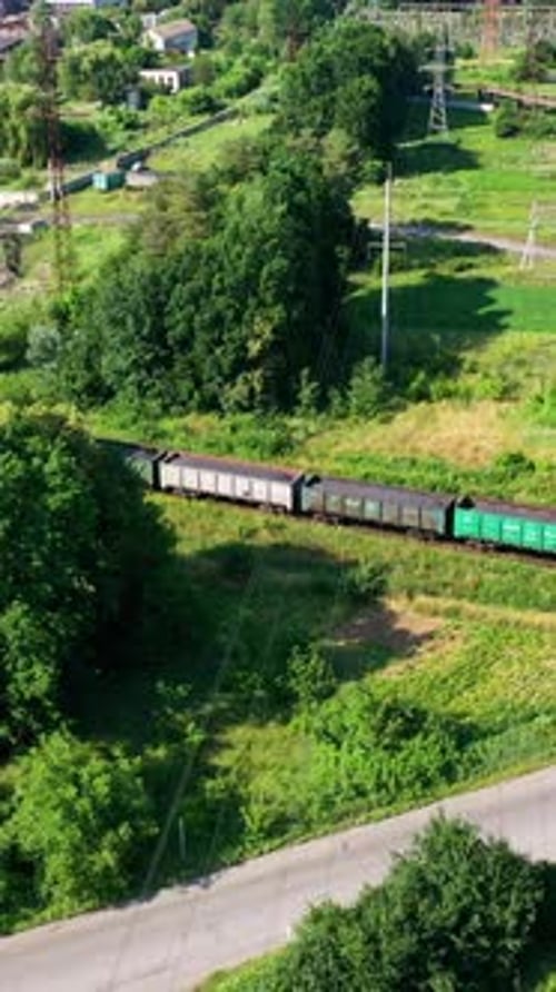 Trem de carga passando na ferrovia. Trem de carga com vagões de carga se movendo entre
a natureza verde