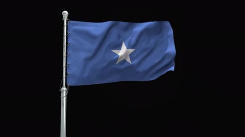 Realistic Waving Flag with Wind Motion