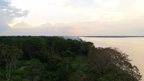 Aerial View Flying Over Dense Green Canopy of Amazon Rainforest A Bird Soars Across the Sky Above