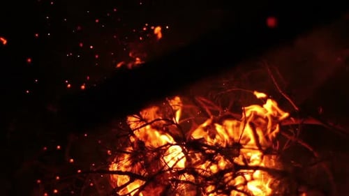 Action « Incendie dans la forêt »