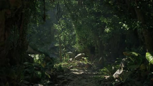 A Scenic Dirt Path Winding Through a Lush Forest in New Zealand Mountain Path