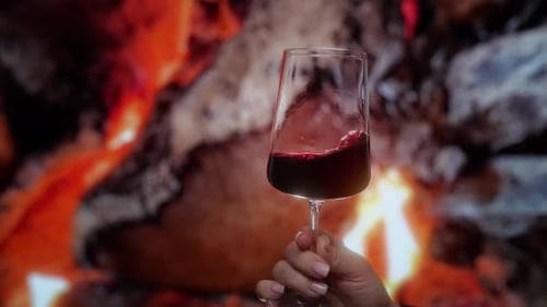 Red Wine Tasting in Slow Motion