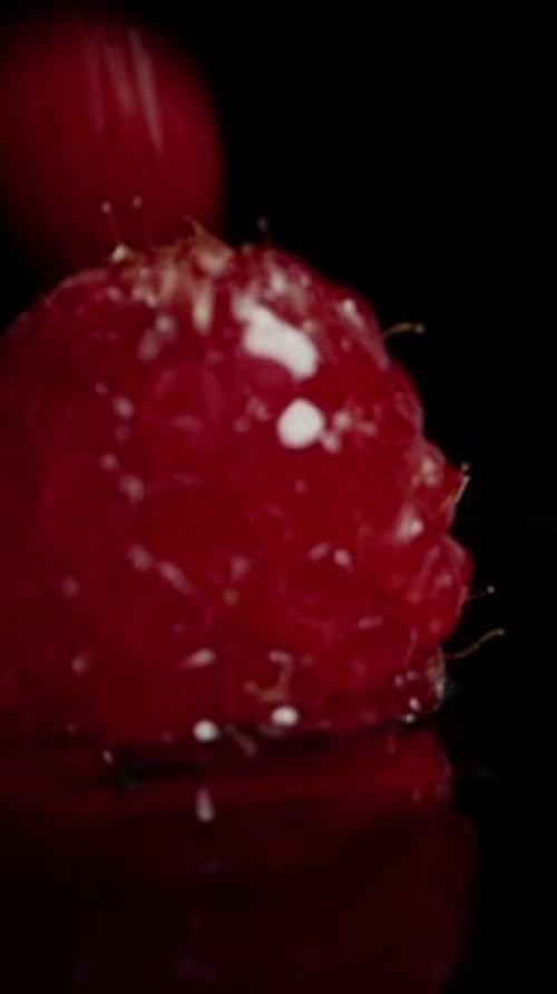 Vertical video. Red raspberry berries falling onto a wet black surface, splashing water around. Slow