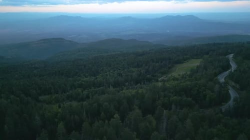 Lush Green Forest And Winding Road In Denver, Colorado, USA. - aerial