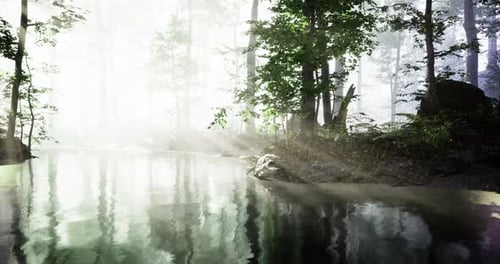 Misty Morning Light Reflects on Still Waters in Serene Forest Landscape