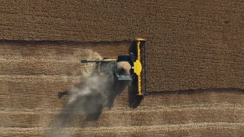 Vue aérienne d'une moissonneuse-batteuse en train de couper des andains dans un champ de blé