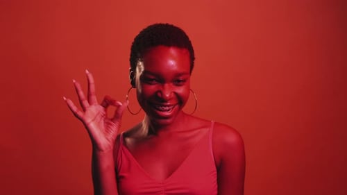 Okay Gesture Positive Respond Woman Ok Gif Loop