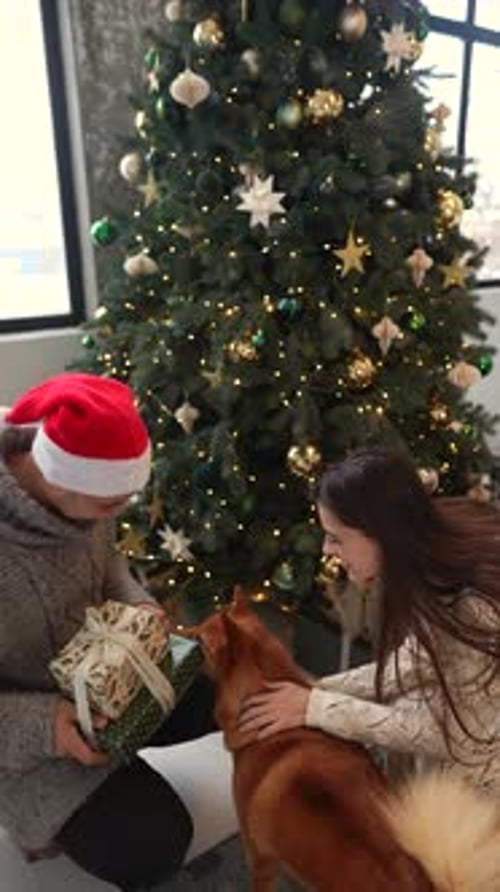 Christmas Celebration with Dog in Cozy Home