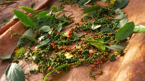 Red and Green Peppercorns Drying in Daylight