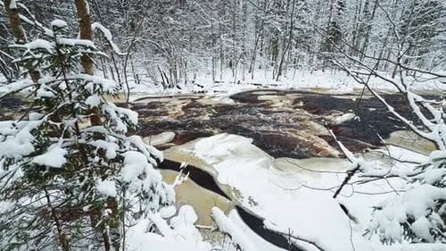 Lindulovskaya Grove an Ecological Trail a Calm Winding River in a Snowy Forest Trees Under the Snow