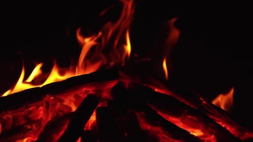 Smoldering embers of campfire close up. Little flame burning out in bonfire. Dark backdrop.
