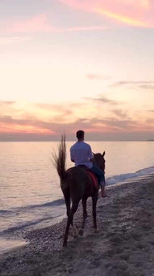Vertikales Video: Reiten in den Sonnenuntergang — Luftaufnahme eines Pferdeabenteuers am Mittelmeer