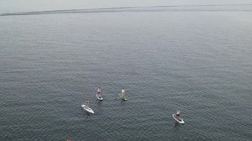 Tourists Standup Paddleboarding At Lake Pontchartrain In New Orleans, Louisiana. - aerial