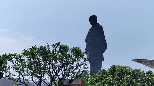 Statue of Unity Static Shot Above Frangipani Tree Gujarat India — Heritage Landmark Footage