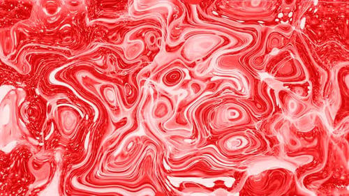 Red and White Abstract Fluid Swirl Motion Background