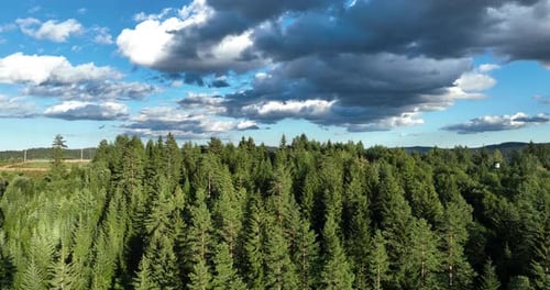 Panorama of Beautiful Countryside of Romania