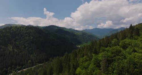 Tiefaufnahme aus der Luft über dichten grünen Nadelwäldern, die ein Tal zwischen Bergen freilegen, blau bewölkt
