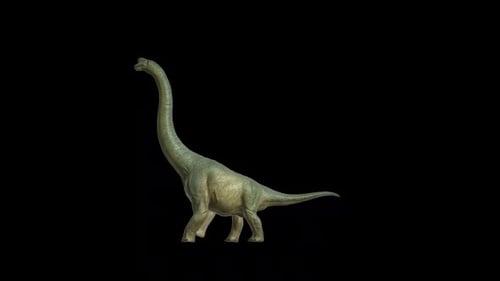 Brachiosaurus-Wandertour