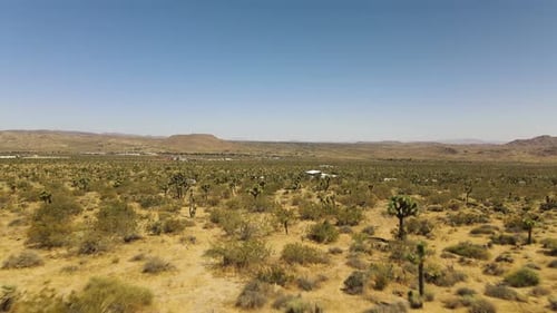 Aerial dolly out at Joshua Tree desert on a sunny day