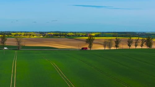 Green Wheat Field Running Along Road with Trucks Driving and Yellow Fields in Background Farmland