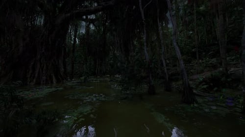 Dark Marsh with Tangled Roots Shadowy Swamp Filled with Dense Plant Life