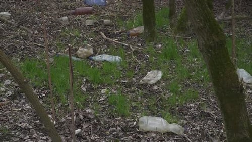 Plastic Waste Pollution in Forest – Environmental Damage Concept