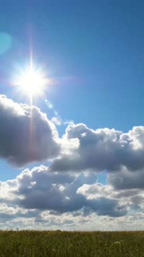 Timelapse of Field of Green Grass and Perfect Sky Dandelion Fieldblue Sky and Sun Green Fieldblue