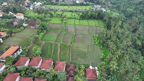 Aerial view of hotels, jungle and rice paddies in Bali, Indonesia