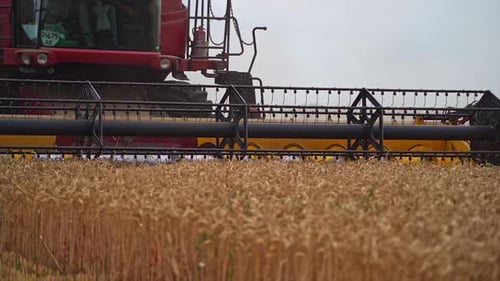Quickly twisting mowing mechanism of the huge harvester combine.