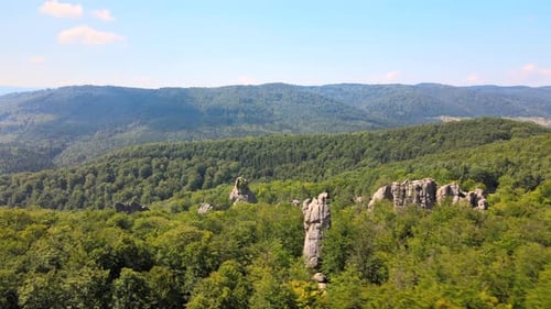 Aerial View of Bright Landscape with Green Forest Trees and Big Rocky Boulders Between Dense Woods