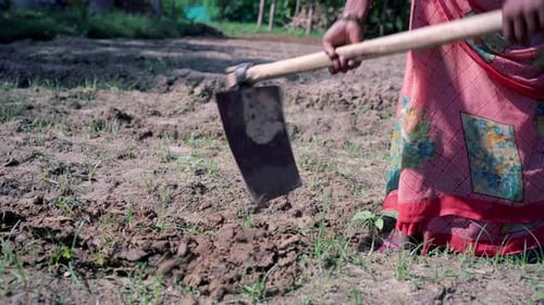 Indian woman digging the soil to plant vegetables