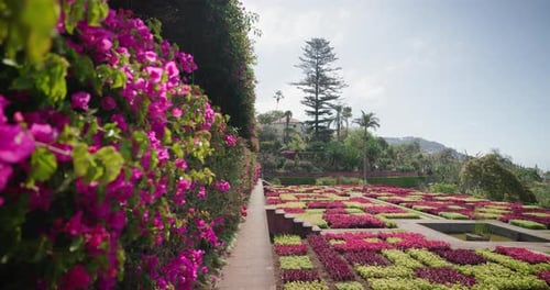 The Colourful Botanical Garden in Madeira, Portugal