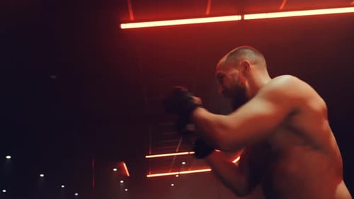Fight Training