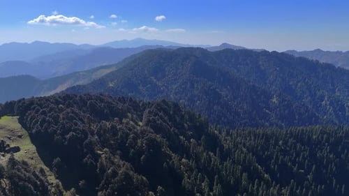 lush green densed forest with clear blue sky and clouds drone shot