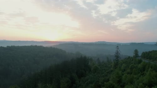 Aerial View of Forest at Misty Sunrise