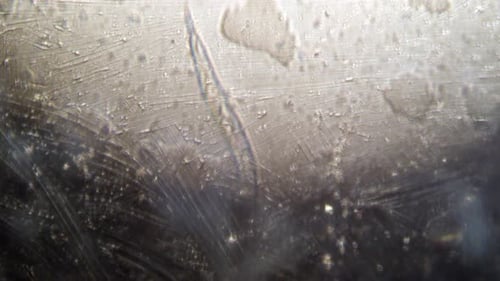 Collection Contagion : cristaux de glace microscopiques à surface rayée
