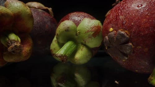 Dolly Slider Close Up Shot Through Whole Mangosteen Fruits with Green Caps and Red Purple Skins