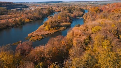 Beautiful autumn nature landscape. Aerial view of yellow natural trees.