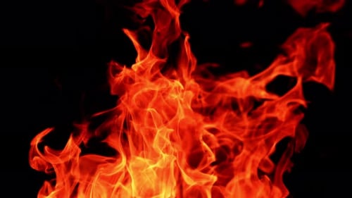 Hot dangerous fire burning. Fast moving red flames isolated at black backdrop. Close up.