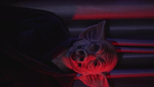 Vertical Video of Devil Man with Pig Mask Flickering Light