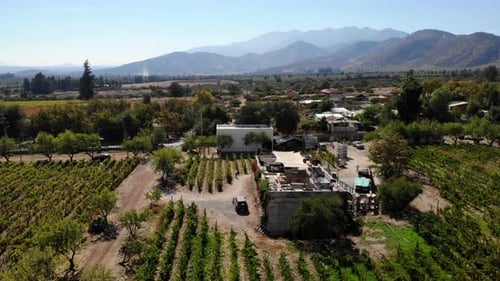 Aerial View Orbiting Modern Winery and Vineyard