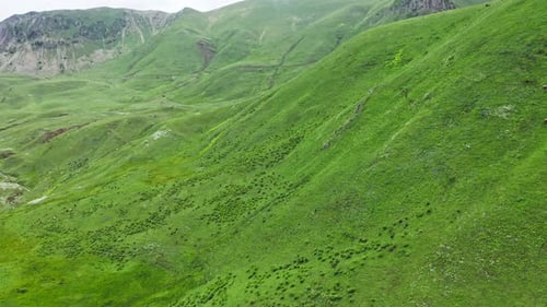 Drone View Of Green Hills Of Pastures At Highlands Of Georgia