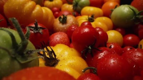 Extreme Macro Tomatoes Sortenhintergrund Frische reife Bio-Gemüseernte
