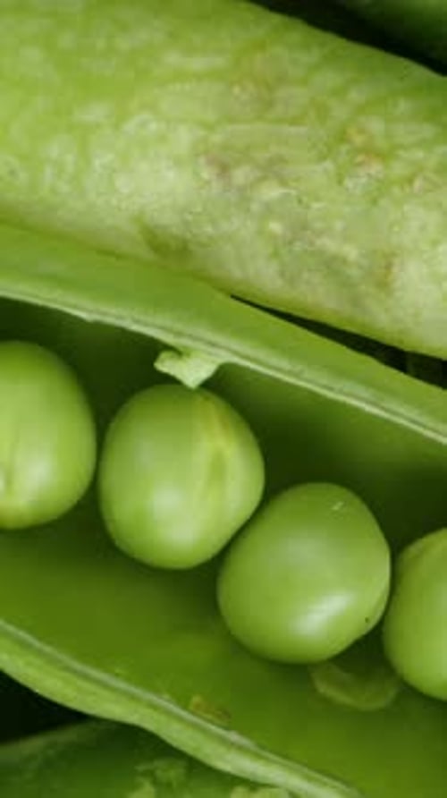 Vertical video. Green Pea Pods on a plate, dolly zoom, macro on a black background. Rotating.