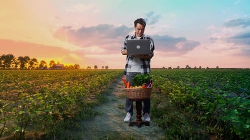 Männlicher Bauer mit Gemüsekorb lächelt, während er den Laptop auf dem Feld benutzt