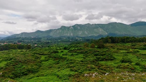 Fresh green grass, bushes and trees covering uneven landscape